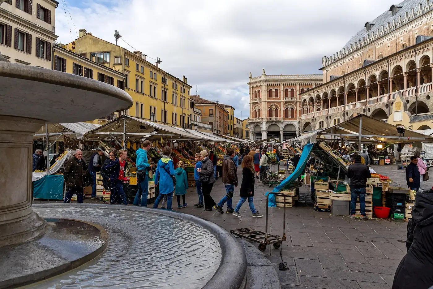 Is the Padua Card Worth It? The Break-Even Math
