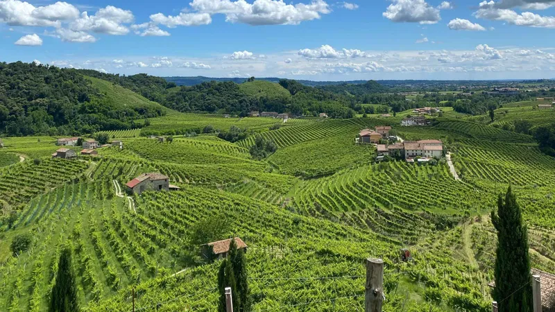 Panoramic prosecco tasting tour from Padua into the Valdobbiadene hills, Italy